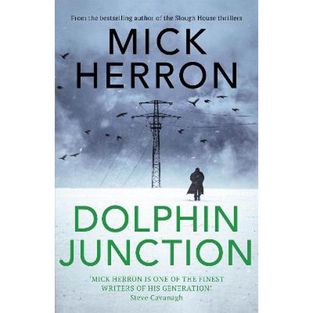 Dolphin Junction (Hardback) - Mick Herron